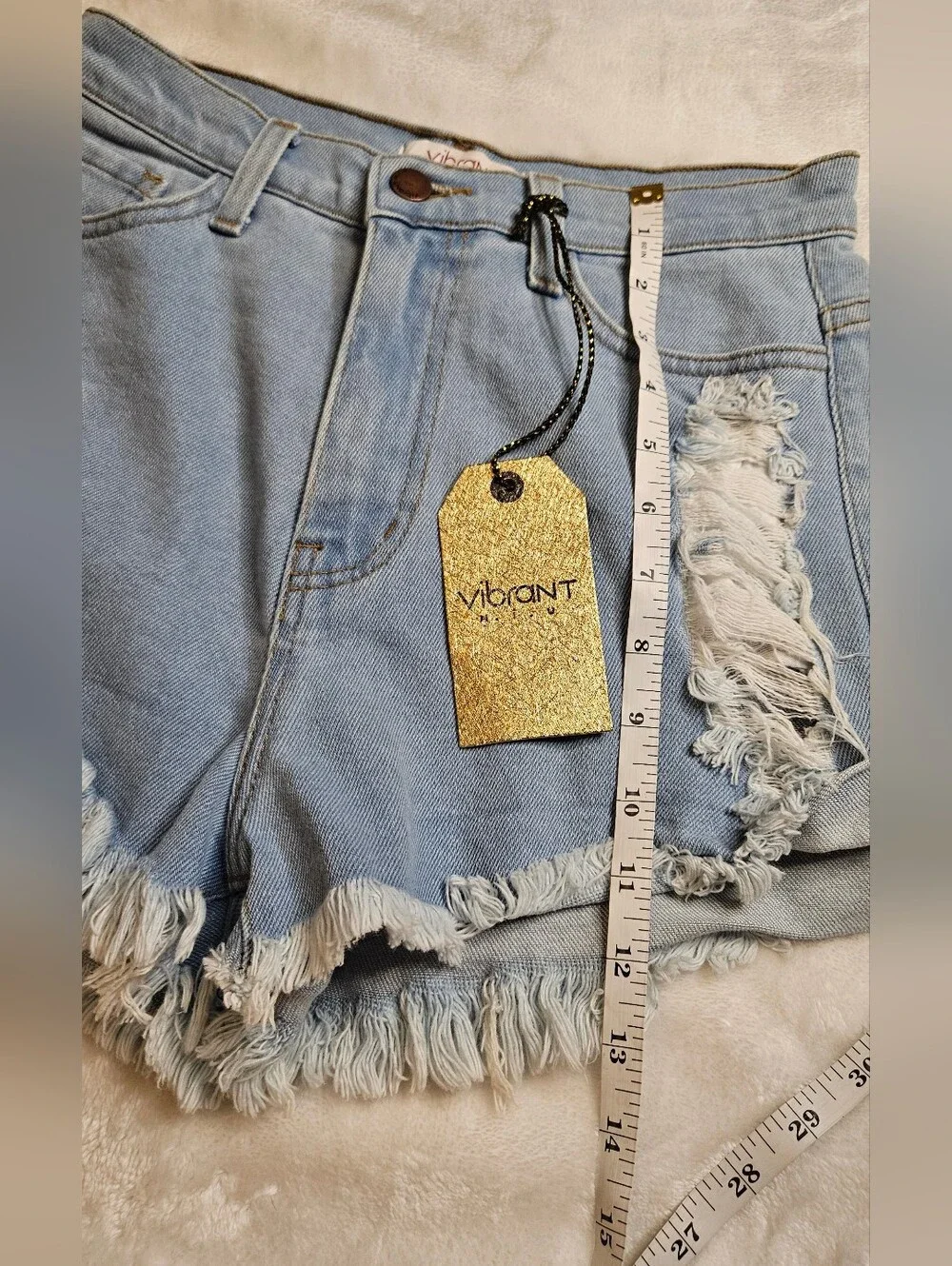 Vibrant Light Blue Denim Shorts with Red Rose Embroidery - Picture 9 of 10